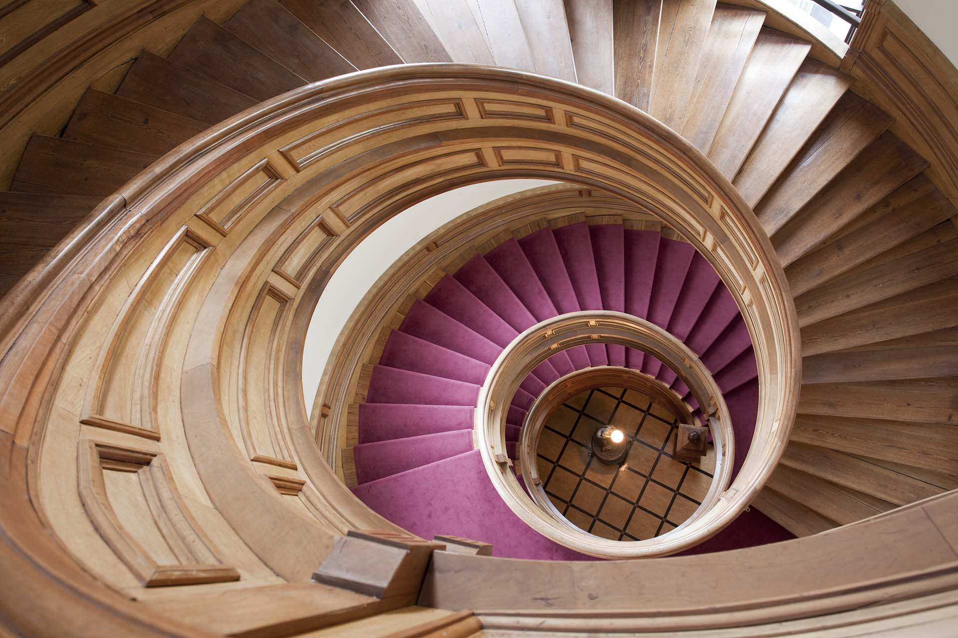 A top-down view of the legislature's spiral staircase.